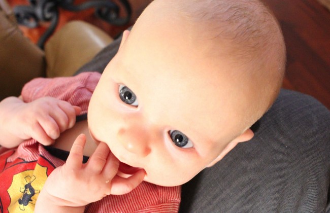 baby Dash